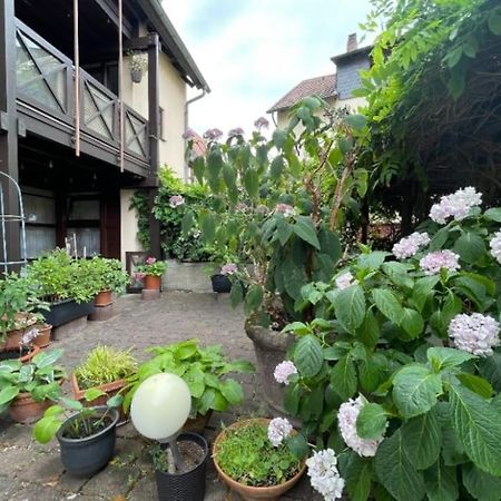 Apartment Gerberbachviertel Weinheim Εξωτερικό φωτογραφία