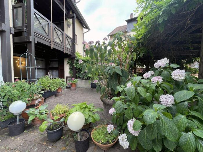 Apartment Gerberbachviertel Weinheim Εξωτερικό φωτογραφία