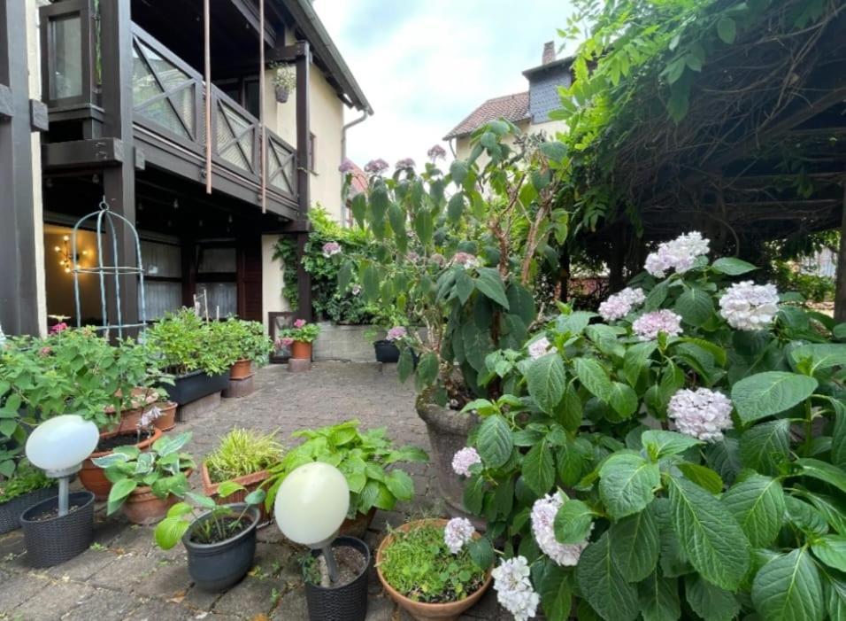 Apartment Gerberbachviertel Weinheim Εξωτερικό φωτογραφία